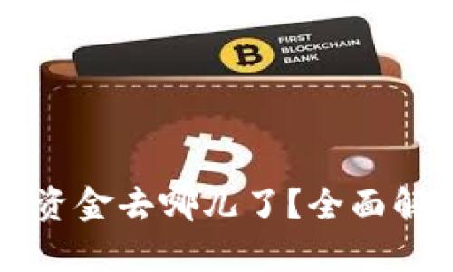 TPWallet里的资金去哪儿了？全面解析与解决方案