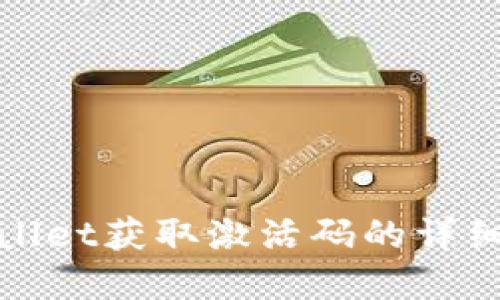 tpwallet获取激活码的详细指南