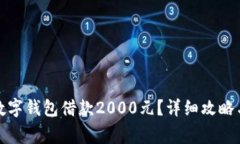 如何通过数字钱包借款2