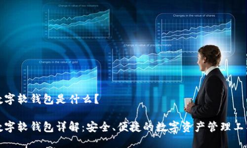 数字软钱包是什么？

数字软钱包详解：安全、便捷的数字资产管理工具