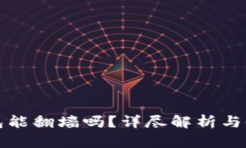 数字钱包能翻墙吗？详尽解析与使用指南
