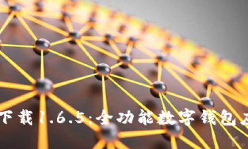 : TPWallet最新版下载1.6.5：全功能数字钱包应用评测与使用指南