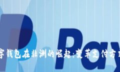 华为数字钱包在非洲的崛