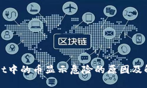 TPWallet中的币显示危险的原因及解决方案