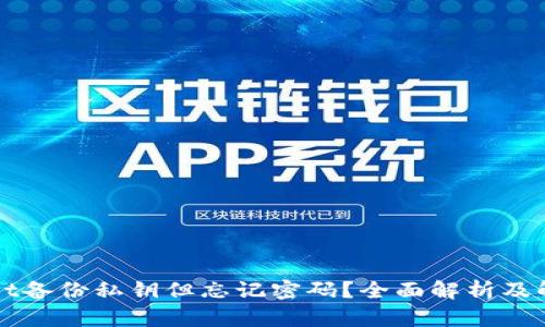 TPWallet备份私钥但忘记密码？全面解析及解决方案