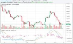 TPWallet如何支持BSC智能链？