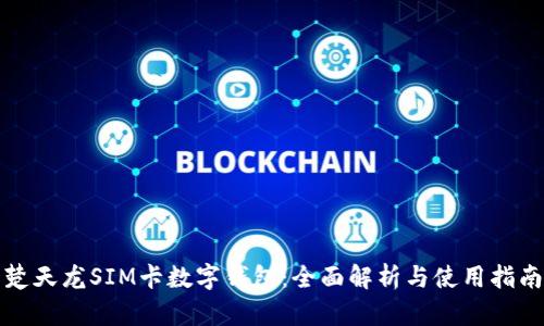 楚天龙SIM卡数字钱包：全面解析与使用指南