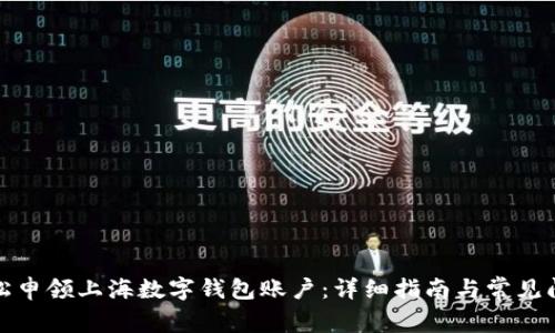 如何轻松申领上海数字钱包账户：详细指南与常见问题解答