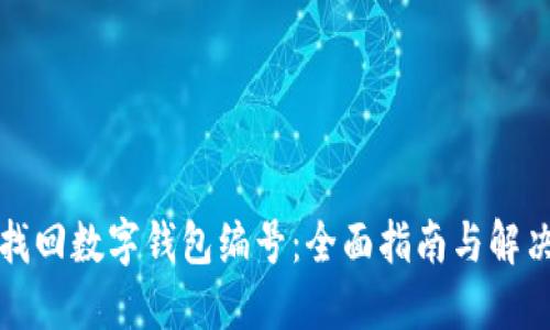 如何找回数字钱包编号：全面指南与解决方案