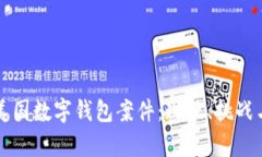 深入分析美国数字钱包案