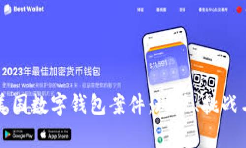 深入分析美国数字钱包案件：现状、挑战与未来发展