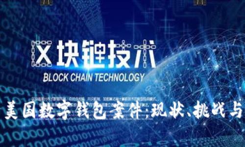 深入分析美国数字钱包案件：现状、挑战与未来发展