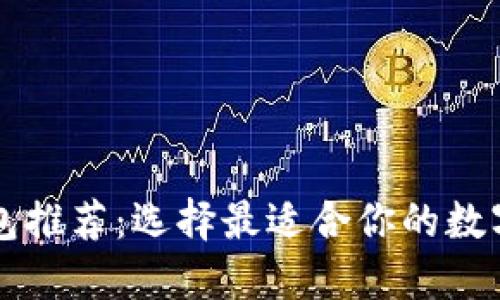 区块链开发钱包推荐：选择最适合你的数字资产管理工具