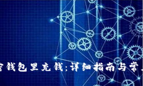 如何往加密钱包里充钱：详细指南与常见问题解答