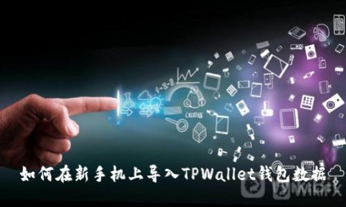 如何在新手机上导入TPWallet钱包数据