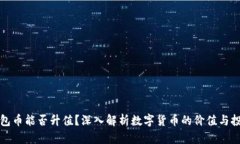 数字钱包币能否升值？深