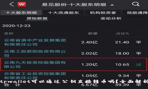 tpwallet可以通过公钥直接转币吗？全面解析