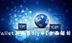 如何在TPWallet上出售Big币？