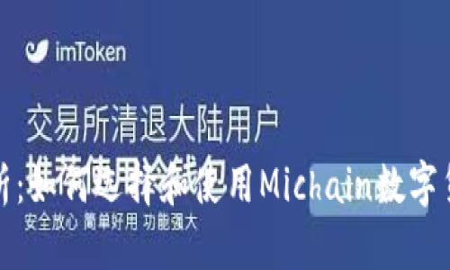 全面解析：如何选择和使用Michain数字货币钱包