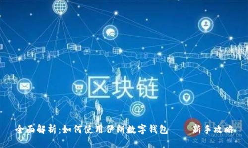 全面解析：如何使用伊朗数字钱包——新手攻略