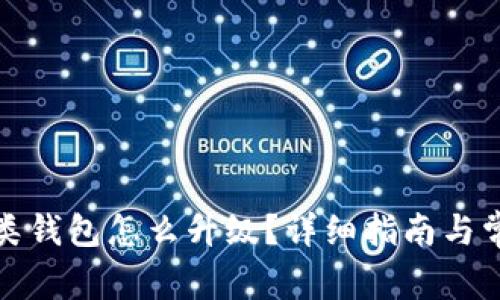 数字钱包二类钱包怎么升级？详细指南与常见问题解析