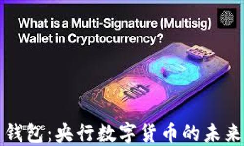 
数字人民币钱包：央行数字货币的未来展望与应用