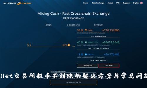 tpwallet交易所提币不到账的解决方案与常见问题解析