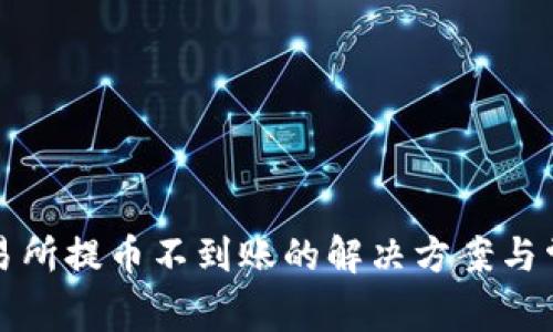 tpwallet交易所提币不到账的解决方案与常见问题解析