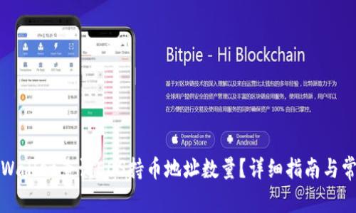 如何通过TPWallet查询EOS持币地址数量？详细指南与常见问题解答