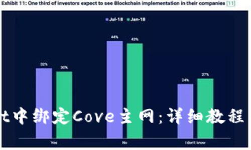 如何在TPWallet中绑定Cove主网：详细教程与常见问题解答