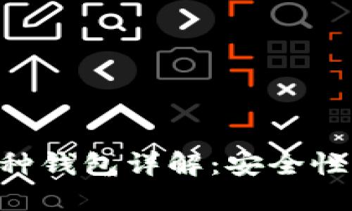区块链技术多币种钱包详解：安全性、功能与使用指南