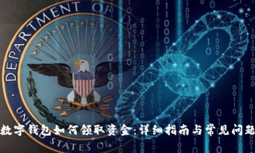 建行数字钱包如何领取资金：详细指南与常见问题解析
