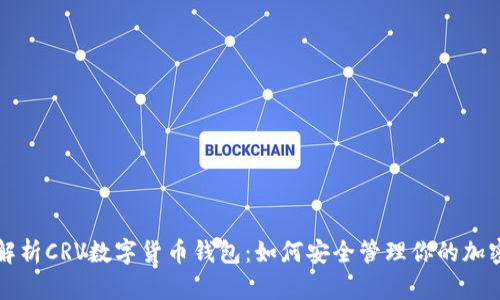全面解析CRV数字货币钱包：如何安全管理你的加密资产