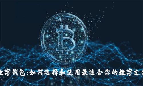 深圳数字钱包：如何选择和使用最适合你的数字支付工具