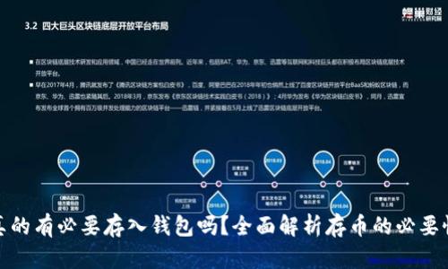 加密货币真的有必要存入钱包吗？全面解析存币的必要性与安全性