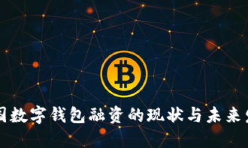美国数字钱包融资的现状与未来发展