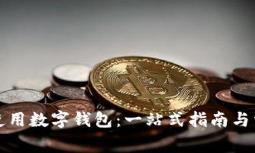 如何在三亚使用数字钱包：一站式指南与常见问题解答