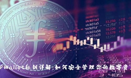 TPWallet私钥详解：如何安全管理你的数字资产