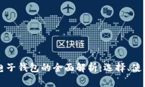 国外数字货币电子钱包的全面解析：选择、使用与安全性指南