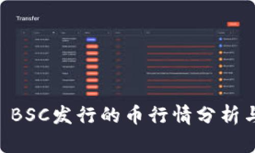 TPWallet BSC发行的币行情分析与投资指南