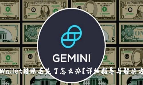 TPWallet转账丢失了怎么办？详细指导与解决方案
