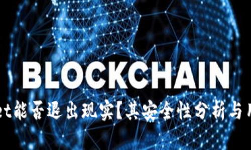 TPWallet能否退出现实？其安全性分析与用户指南