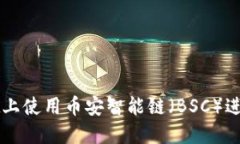 如何在TPWallet上使用币安智
