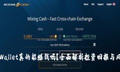TPWallet真的能赚钱吗？全面