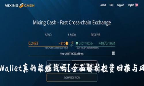 TPWallet真的能赚钱吗？全面解析投资回报与风险
