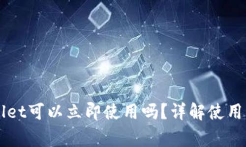 新创建的TPWallet可以立即使用吗？详解使用流程与注意事项