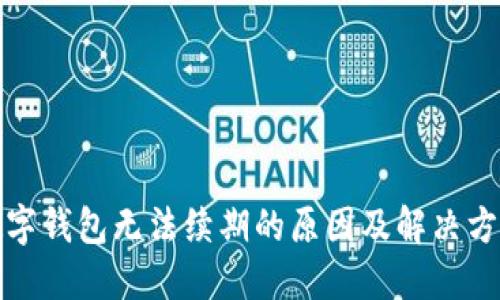 数字钱包无法续期的原因及解决方案