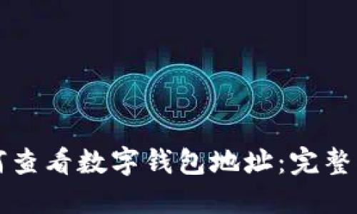 如何查看数字钱包地址：完整指南