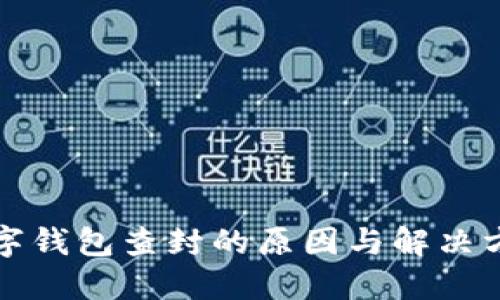 数字钱包查封的原因与解决方法