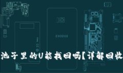 tpwallet池子里的U能找回吗